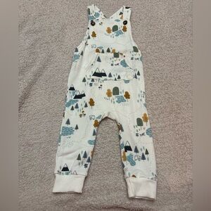 Little sleepies overalls